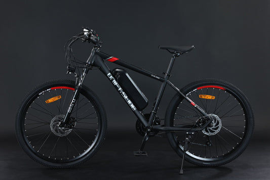 GT-X100 350w E-Bike