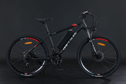 GT-X100 350w E-Bike